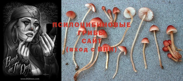 сатива Строитель
