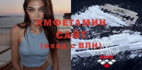 сатива Строитель