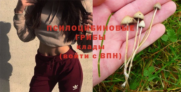 сатива Строитель