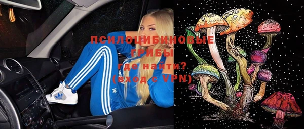 гидра Сясьстрой