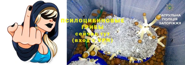 jwh Струнино